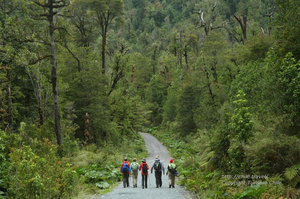 Marcheurs dans le parc National Conguill&iacute;o