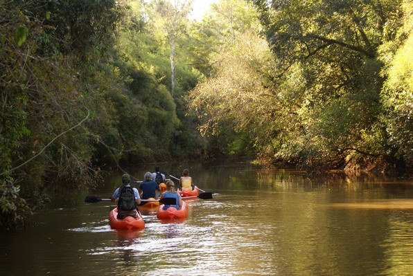 Balade en kayak dans une r&eacute;serve naturelle prot&eacute;g&eacute;e &ndash; M&eacute;sopotamie argentine