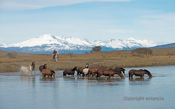 S&eacute;jour et activit&eacute;s en estancia au coeur de la Patagonie