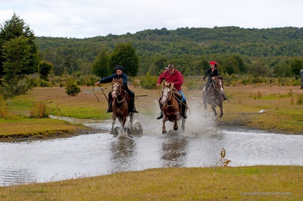 Journ&eacute;e en Estancia chez l&rsquo;habitant &ndash; Puerto Natales