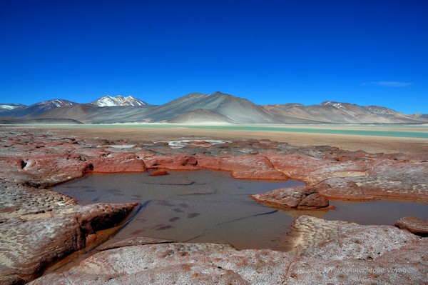 Piedras Rojas et le Salar de Talar - San Pedro
