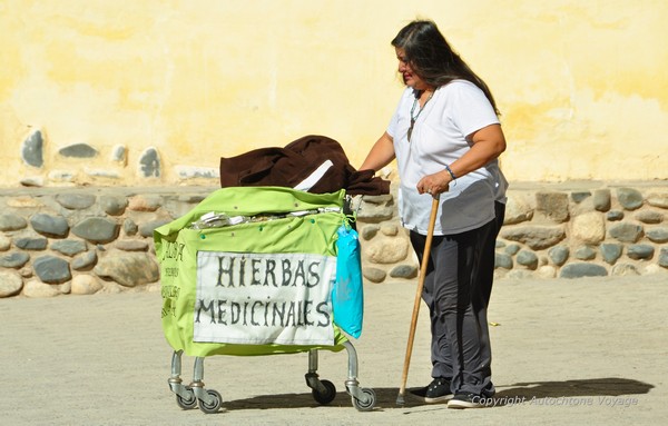 Vendeuse d&rsquo;herbes m&eacute;dicinales &ndash; Cachi -  Province de Salta