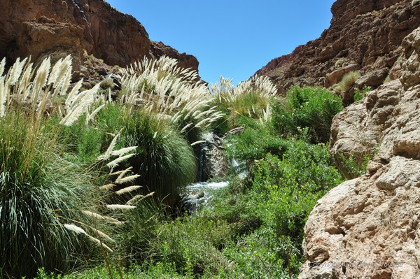 La rivi&egrave;re Puritama - Guat&iacute;n