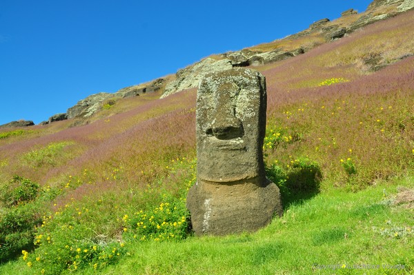 La carri&egrave;re de Moa&iuml; du volc&aacute;n Rano Raraku &ndash; Ile de P&acirc;ques