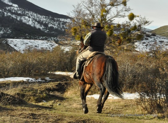 Un Gaucho &agrave; la poursuite de son troupeau &ndash; Parc National Torres del Paine