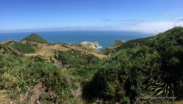 Le sentier du &ldquo;Puente de las Almas&rdquo; (Pont des &acirc;mes) &ndash; Cucao - Grande Ile de Chilo&eacute;