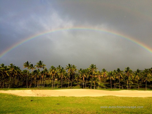 La for&ecirc;t de palmiers de la plage d&rsquo;Anakena &ndash; Ile de P&acirc;ques