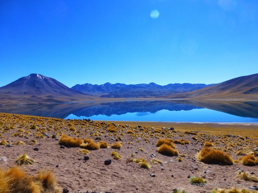 La Laguna et le Volcan Miscanti &ndash; Salar d&rsquo;Atacama